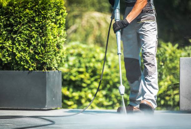 Best Animal Enclosure Cleaning  in Clear Lake, IA