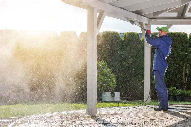 Best Sidewalk and Walkway Cleaning  in Clear Lake, IA